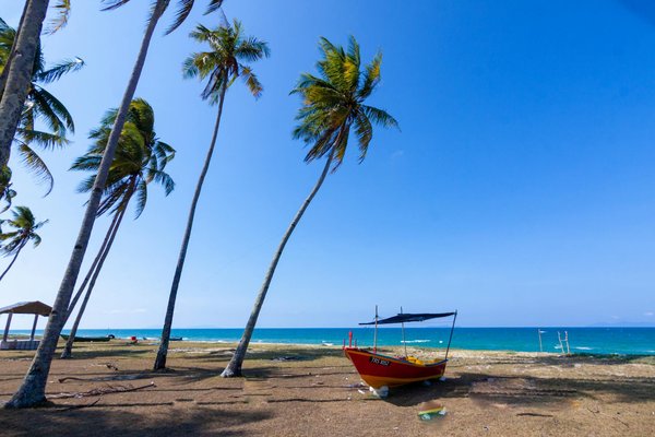 Où découvrir les traditions de la céramique en Toscane, Italie?