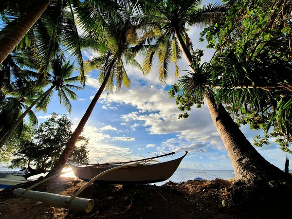 Où apprendre l'art de la cuisine méditerranéenne en Grèce : ateliers et chefs renommés ?